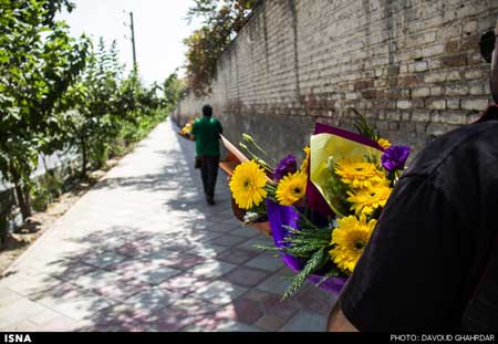 اخبار ,اخبار اجتماعی ,قربانیان حادثه ایران 140