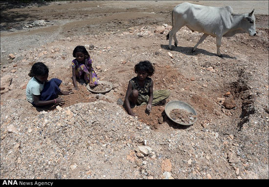 کودکان کار هندی