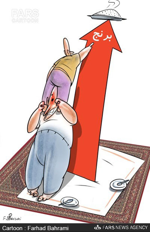 کاریکاتور: برنج ایرانی قد کشید!