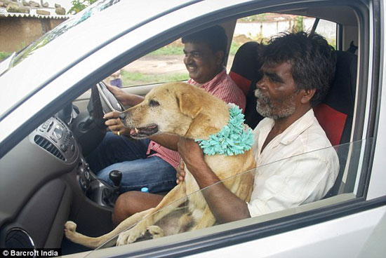 ازدواج عجیب دختر ۱۸ ساله هندی با یک سگ + عکس