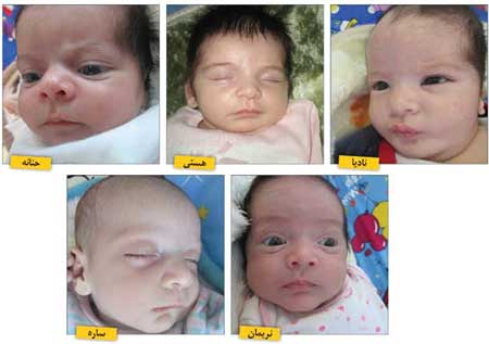 اخبار,اخبار اجتماعی,سرنوشت تلخ 5 نوزاد رها شده