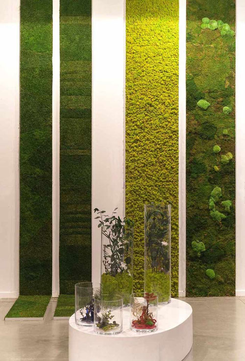 یک طرح، یک نگاه: دیوارهای گیاهی