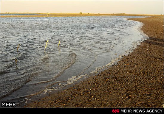 سواحل کنگان بوشهر