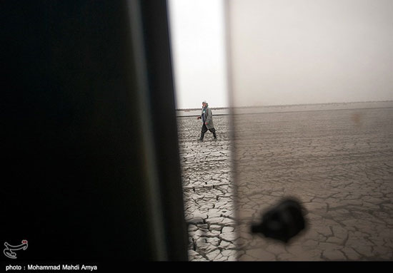 عکس: نجات فوک خزری در گلستان