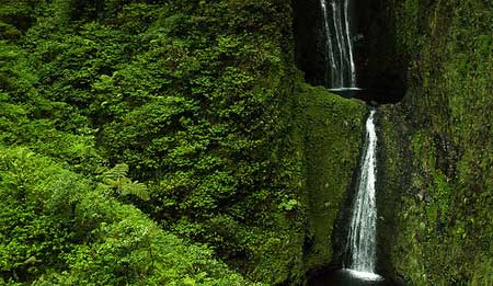 سبزترین آبشار دنیا