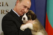 تعیین جایزه ویژه پوتین برای نامگذاری سگ جدیدش