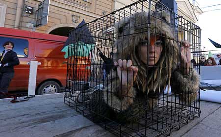اعتراض فعال حقوق حیوانات در سنت پترزبورگ