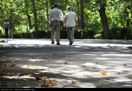 پاییز زودرس در تهران