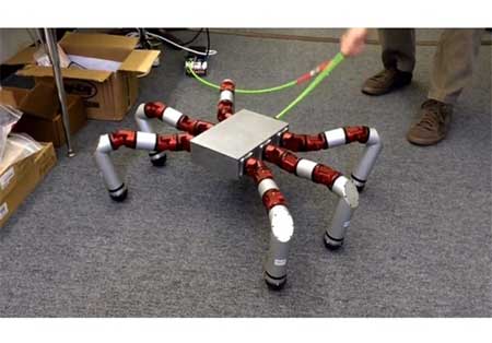 اخبار,اخبار علمی,ربات ۶ پا برای عملیات نجات