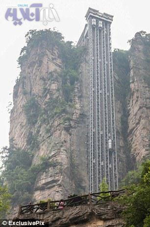 بلندترین آسانسور جهان در قلب یک جنگل