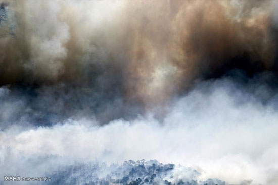 عکس: آتش سوزی در یونان