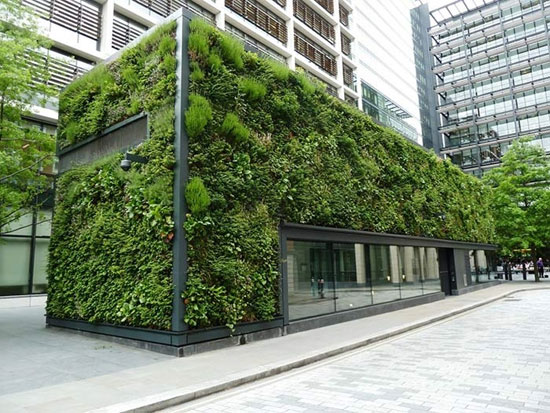 دیوارهای سبز؛ راه‌کاری برای نقش آفرینی بیشتر طبیعت در زندگی شهری