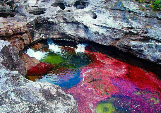 زیباترین رودخانه جهان در 5 رنگ + عکس