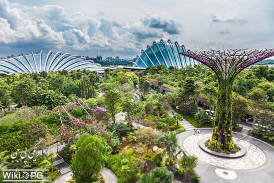 باغ خلیجی سنگاپور