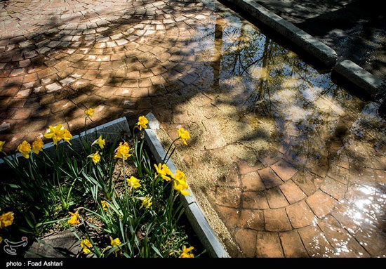 طبیعت بهاری پارک ملت تهران