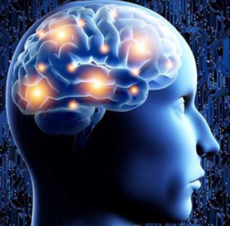 کشف شکل جدیدی از انتقال اطلاعات در مغز