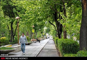 اصفهان,شهر تاریخی اصفهان,چهارباغ پیاده رو می شود
