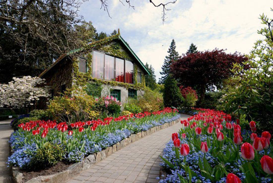 باغ بوچارت ، یکی از زیباترین باغ های دنیا