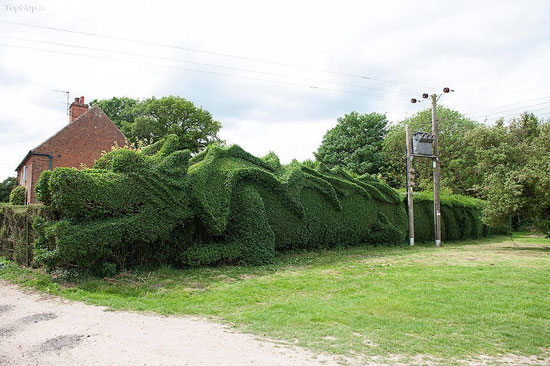 10 سال تلاش برای ساخت مجسمه ای گیاهی +عکس