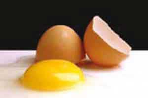 نگهداری طولانی تخم مرغ 