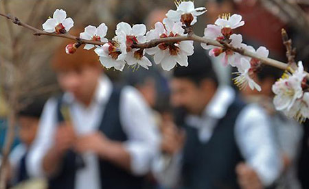 آداب و رسوم عید نوروز , ورامین , سال نو