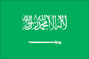 اخبار,اخباربین الملل ,عزل و نصب های جدید پادشاه عربستان