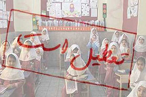 اخبار,اخبار اجتماعی , تعطیلی مدارس تهران
