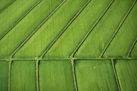 تصاویر هوایی دیدنی از مزارع كشاورزی +عکس