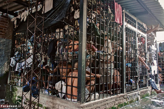 تبهکاران مخوف «السالوادور» در قفس + عکس