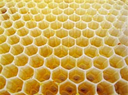 مدرک مهندسی,خانه‌های شش ضلعی زنبورهای عسل,آرایه شش ضلعی  شانه‌های کندوی عسل