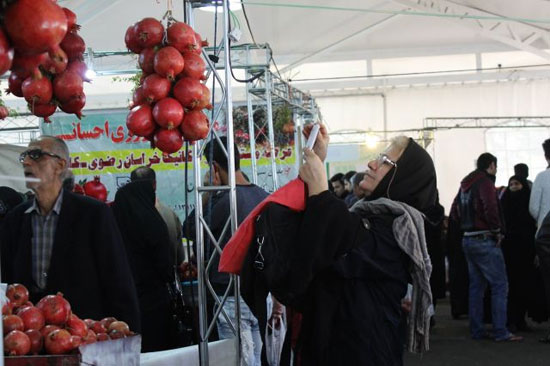 سومین جشنواره انار در مصلی تهران