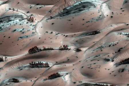 اخبار,اخبار علمی,تصاویر سطح مریخ