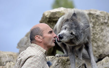 پی یر کادیاک کارگردان فرانسوی و تمرین به یک گرگ برای شرکت در فیلم جدیدش در منطقه ویلمه