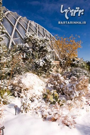باغ های گیاهشناسی زمستانی دنیا