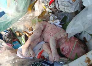 نجات نوزاد سه روزه رها شده در کیسه پلاستیک در كاشمر 