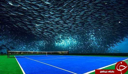 عجیب ترین ورزشگاه تنیس جهان/تصاویر