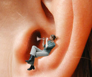 وزوز گوش, سیستم شنوایی
