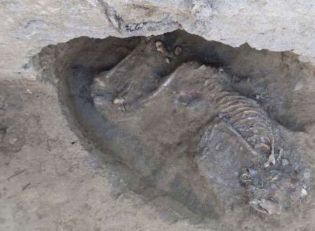کشف اسکلت 5800 ساله انسان در شیراز