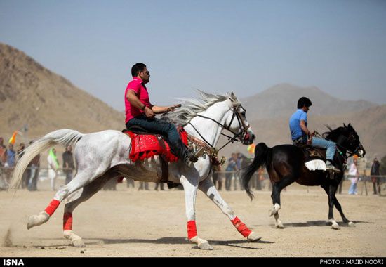 جشنواره زیبایی اسب - اراک
