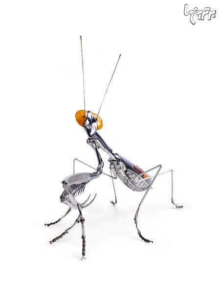 حشرات و موجودات مکانیکی حیرت انگیز!