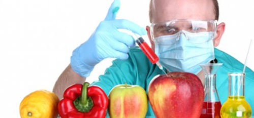غذاهای اصلاح شده ژنتیکی - خوب یا بد