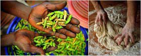تبدیل ملخ به آرد برای تهیه نان,بحران گرسنگی در کشورهای فقیر آفریقایی