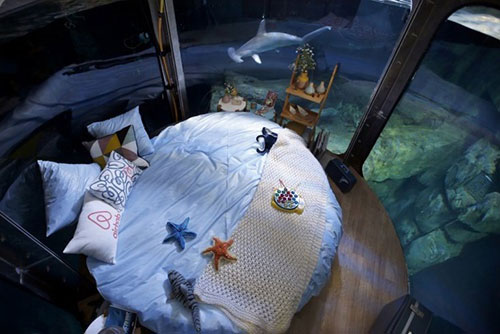 تصاویر اتاق خوابی که در محل زندگی ۳۵ کوسه ساخته شده است/تعطیلات در آکواریومی با ۳ میلیون لیتر آب