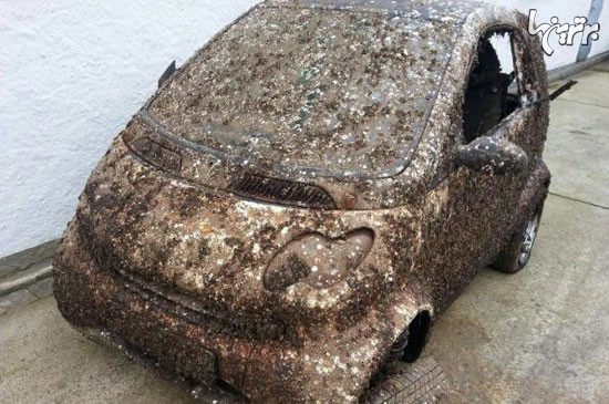 اتومبیل دزدی بعداز 7سال در دریا پیداشد