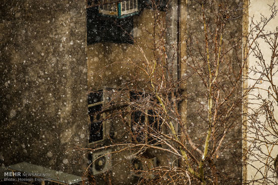 بارش اولین برف زمستانی در تهران +عکس