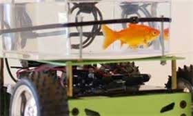 اخبار ,اخبار علمی , ساخت خودرو ویژه ماهی‌ها