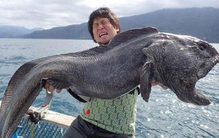 اخبار,اخبار گوناگون,صید وحشتناک ماهی گیر ژاپنی