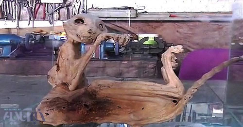 تصاویر بقایای موجودی عجیب مومیایی شده در ترکیه