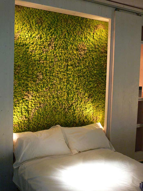 یک طرح، یک نگاه: دیوارهای گیاهی