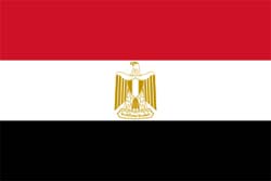 آمار کشته ها در مصر,آمارجدید کشته ها در درگیری مصر,وزارت بهداشت مصر